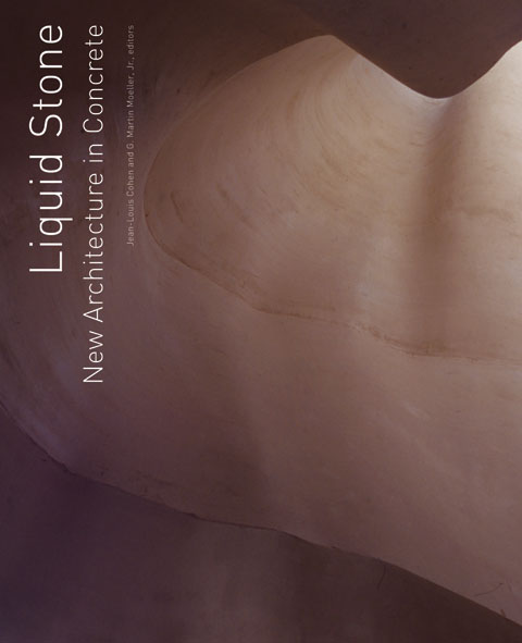 liquid stone book.jpg