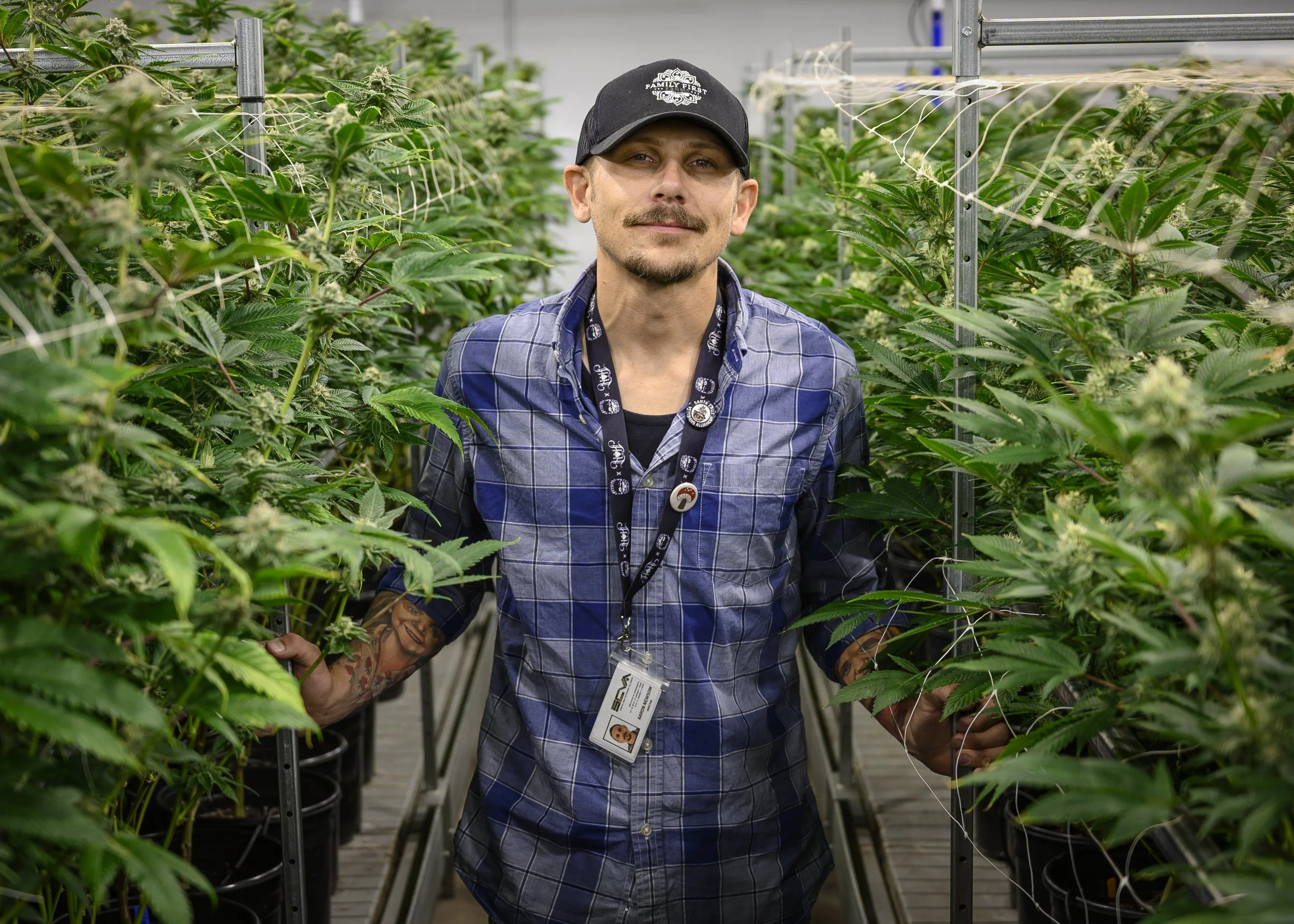  Marine veteran Aaron Newsom, co-founder of the Santa Cruz Veterans Alliance, with his mature cannabis plants at SCVA's cultivation and distribution facility in Santa Cruz County. Photo courtesy of Ethan E. Rocke/Coffee or Die Magazine.  