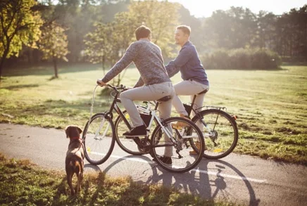 Gay Matchmaking - How the A-Gays find Love…