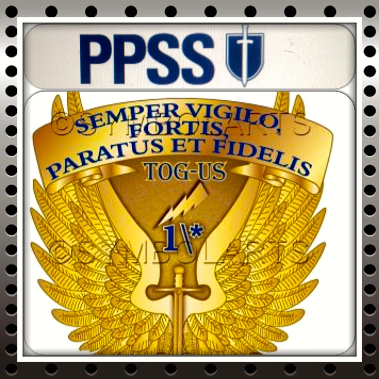 PPSS & TOG-US- Bringing Corrections the Protection It Deserves