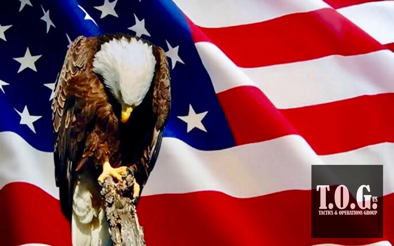 Thank you for your sacrifice!