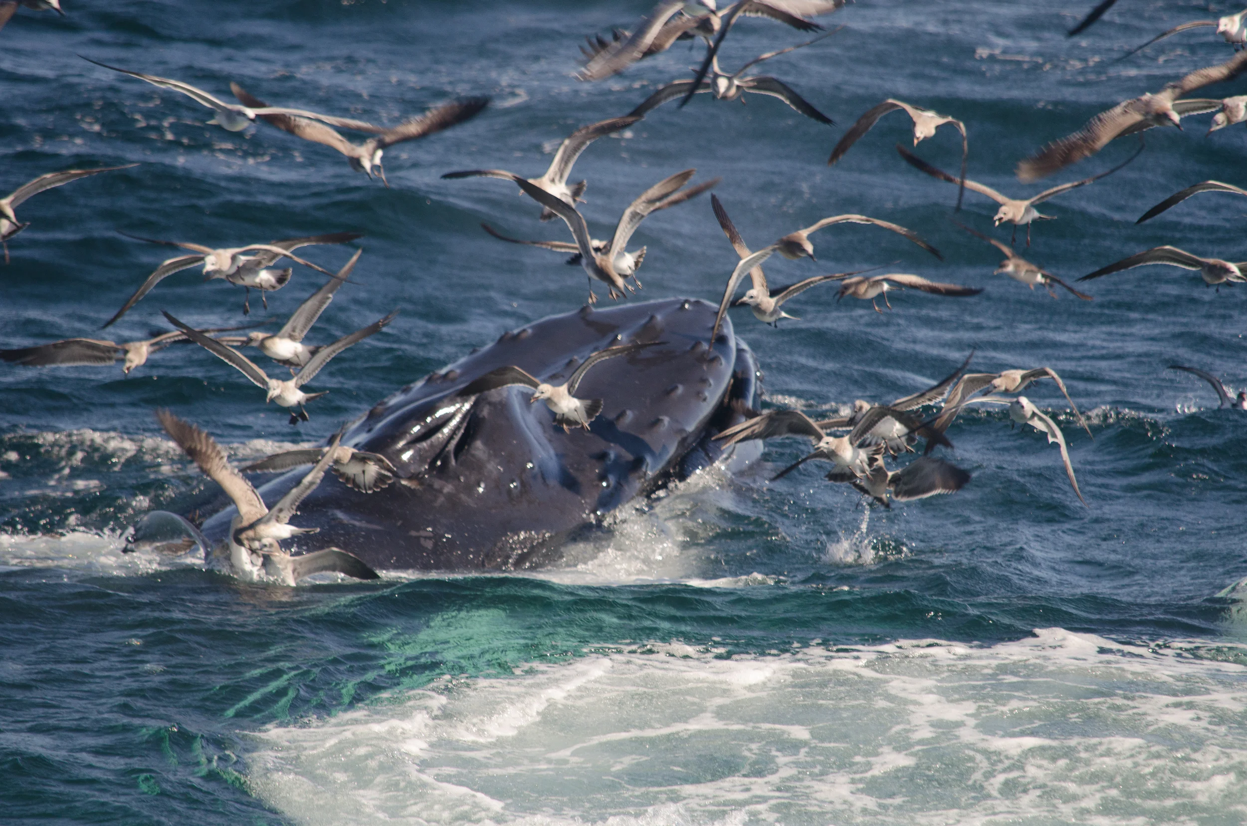 DSC_1564.jpg