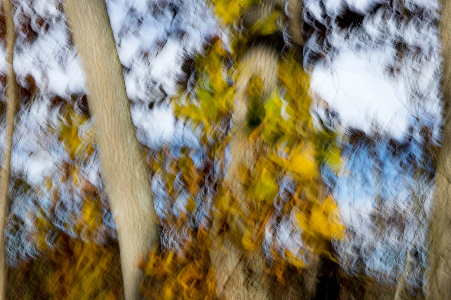 Abstract of a Fall scene