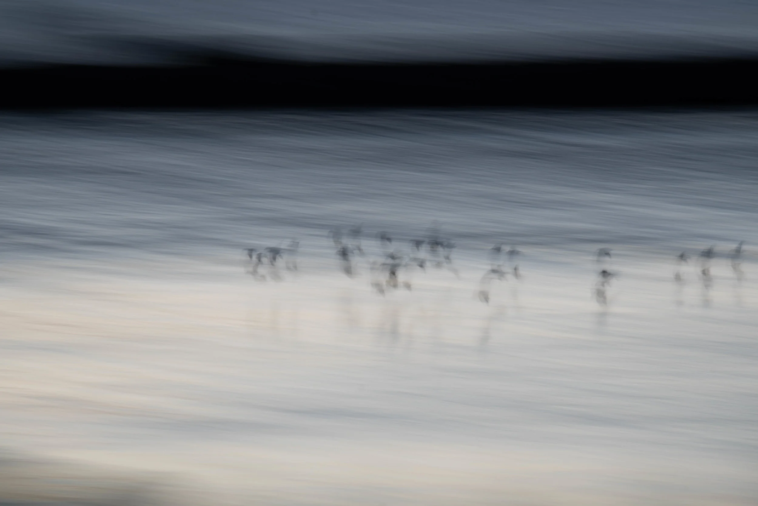 Geese in Flight