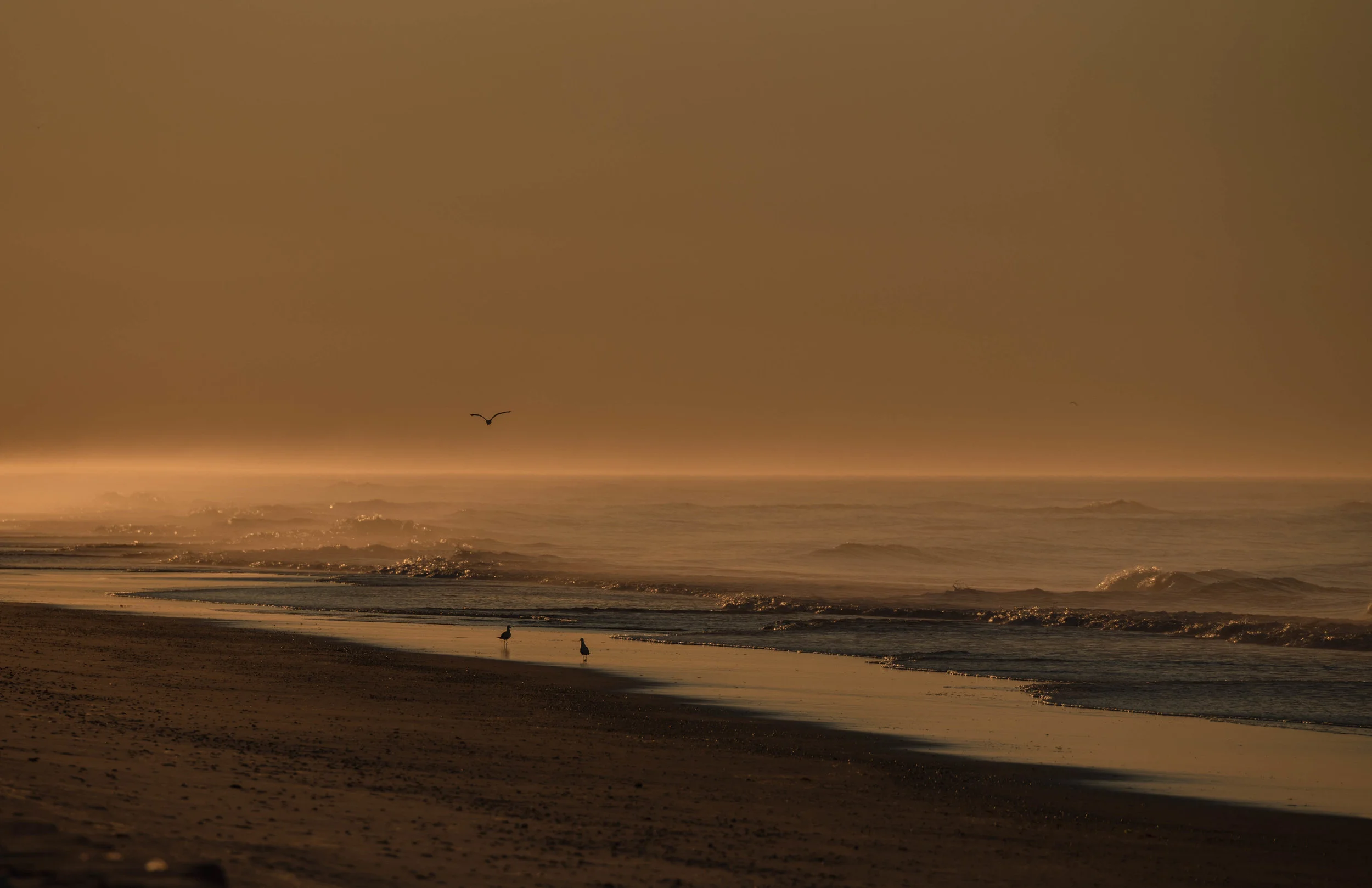 Fire Island Dawn