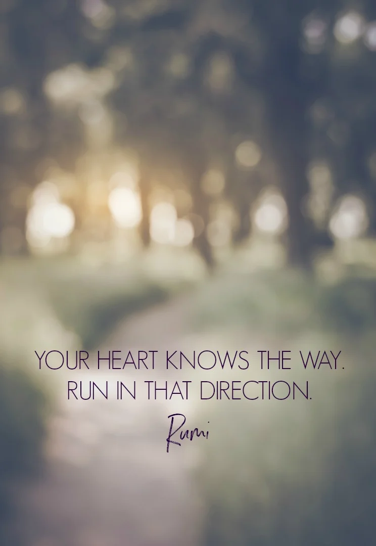 Rumi Articles Circle Of Daydreams