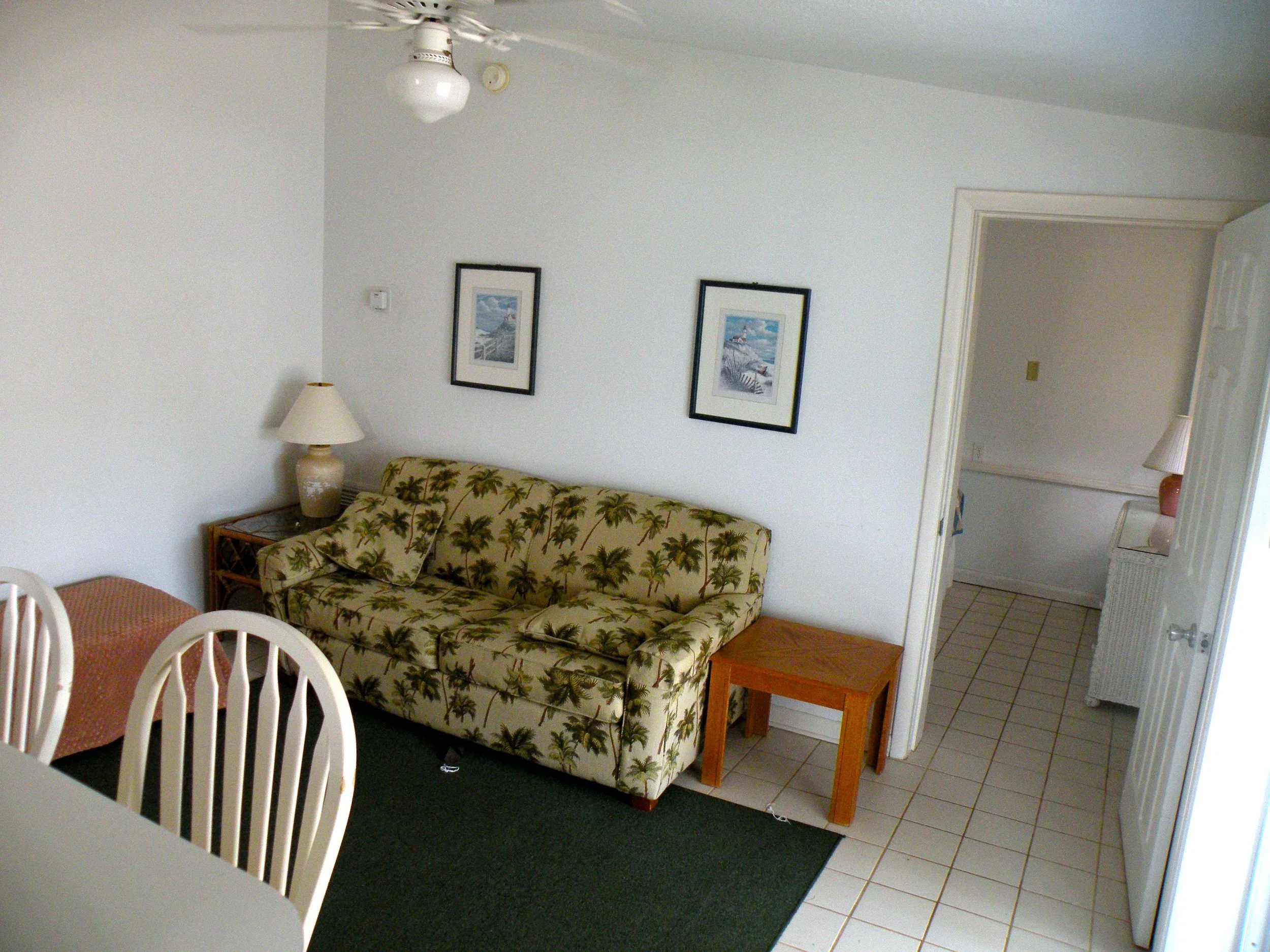 Cot2_01.jpg
