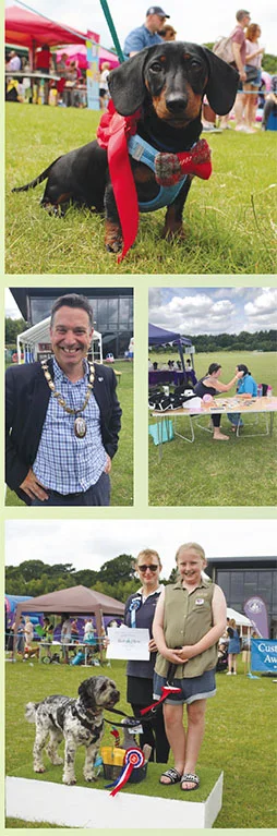 bolnore-fete-2019-montage.jpg