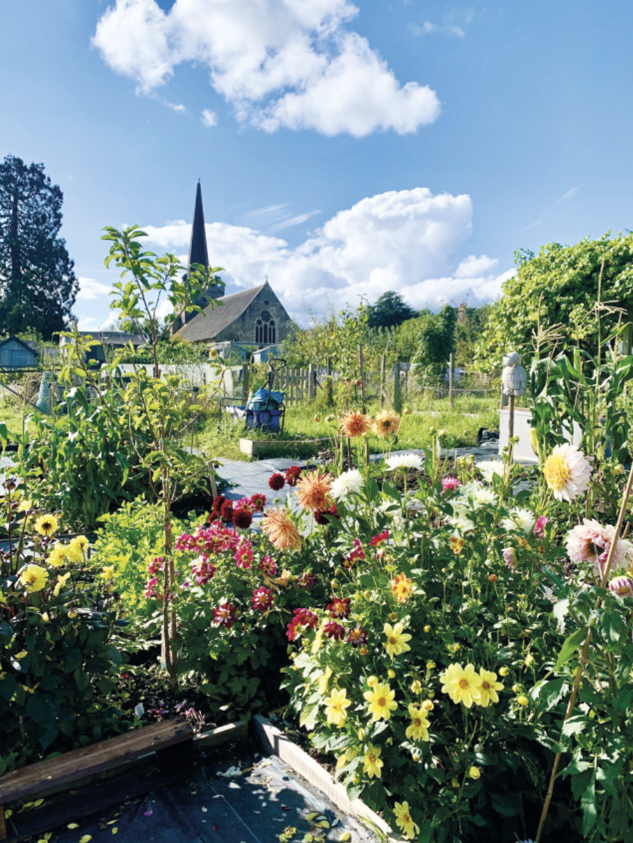 Cuckfield Life Aug cover image.png