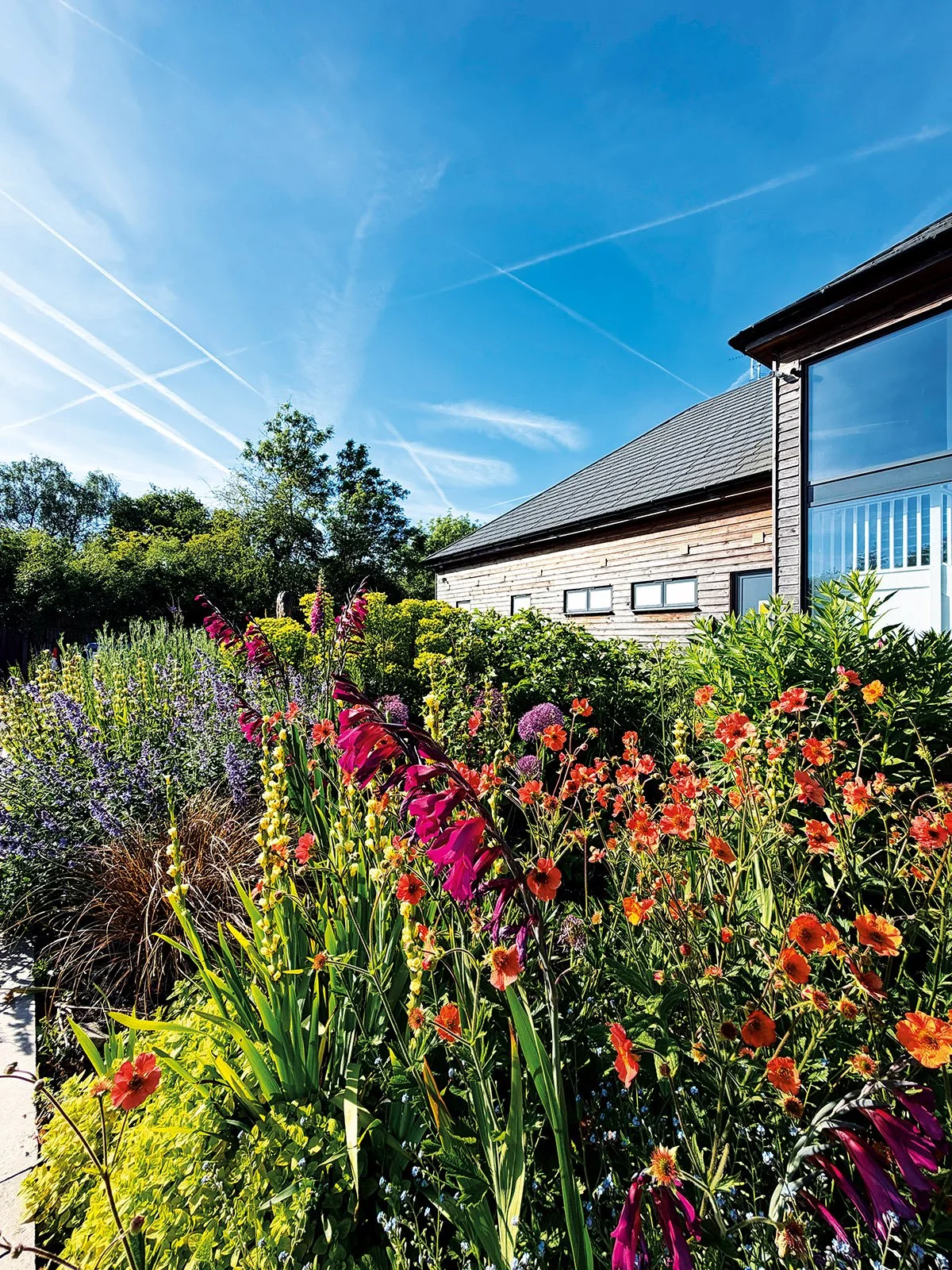 Cuckfield Life cover image.jpg