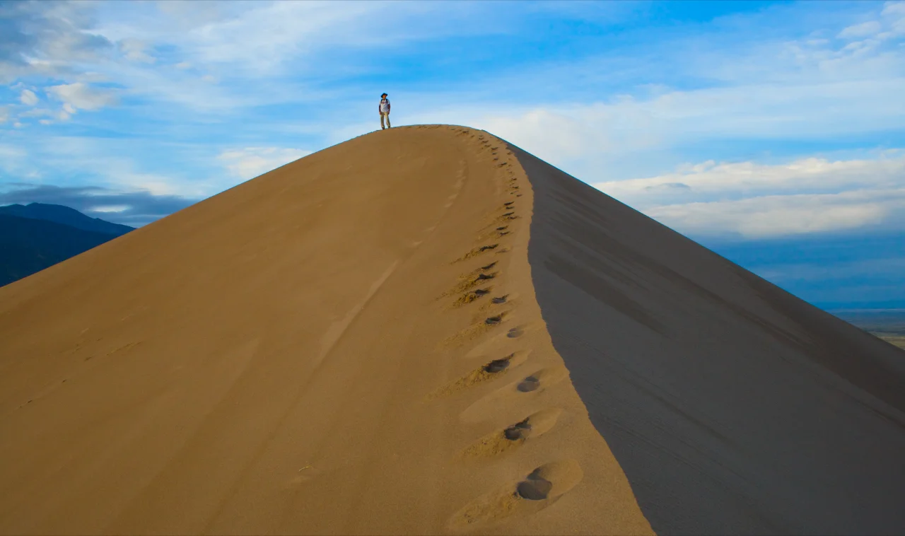 Dune Walker