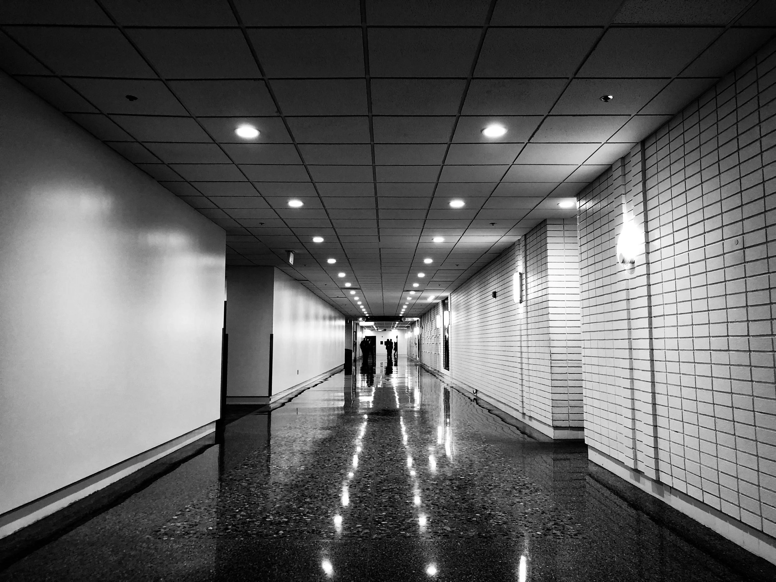 Crystal City, Virginia—Feb. 2019
