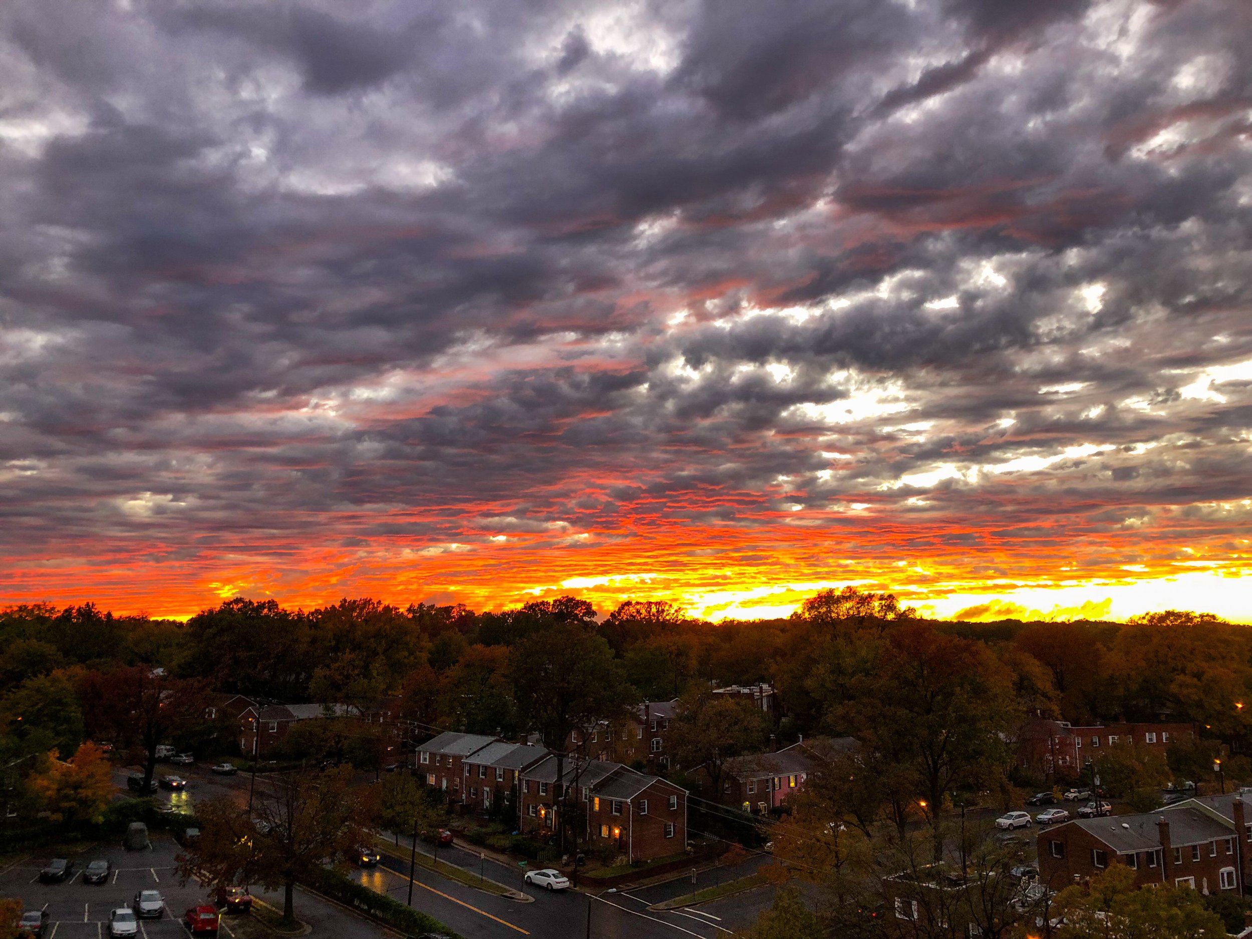 Alexandria, Virginia-2018