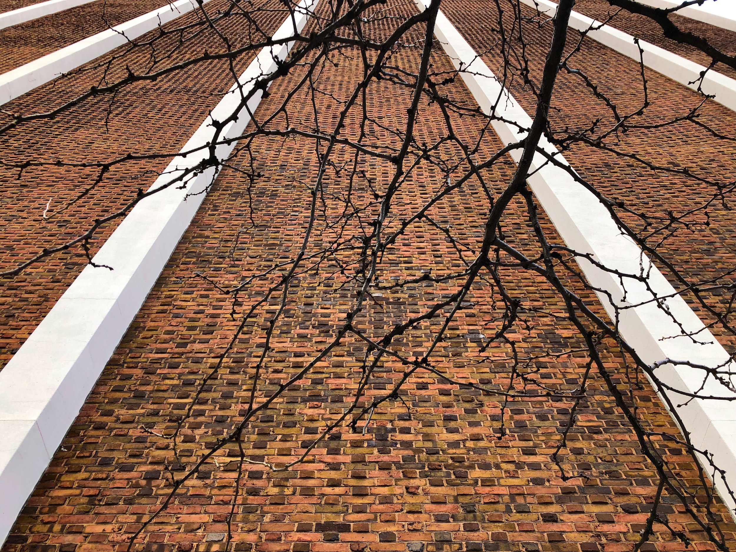 Harrisburg, PA-2019