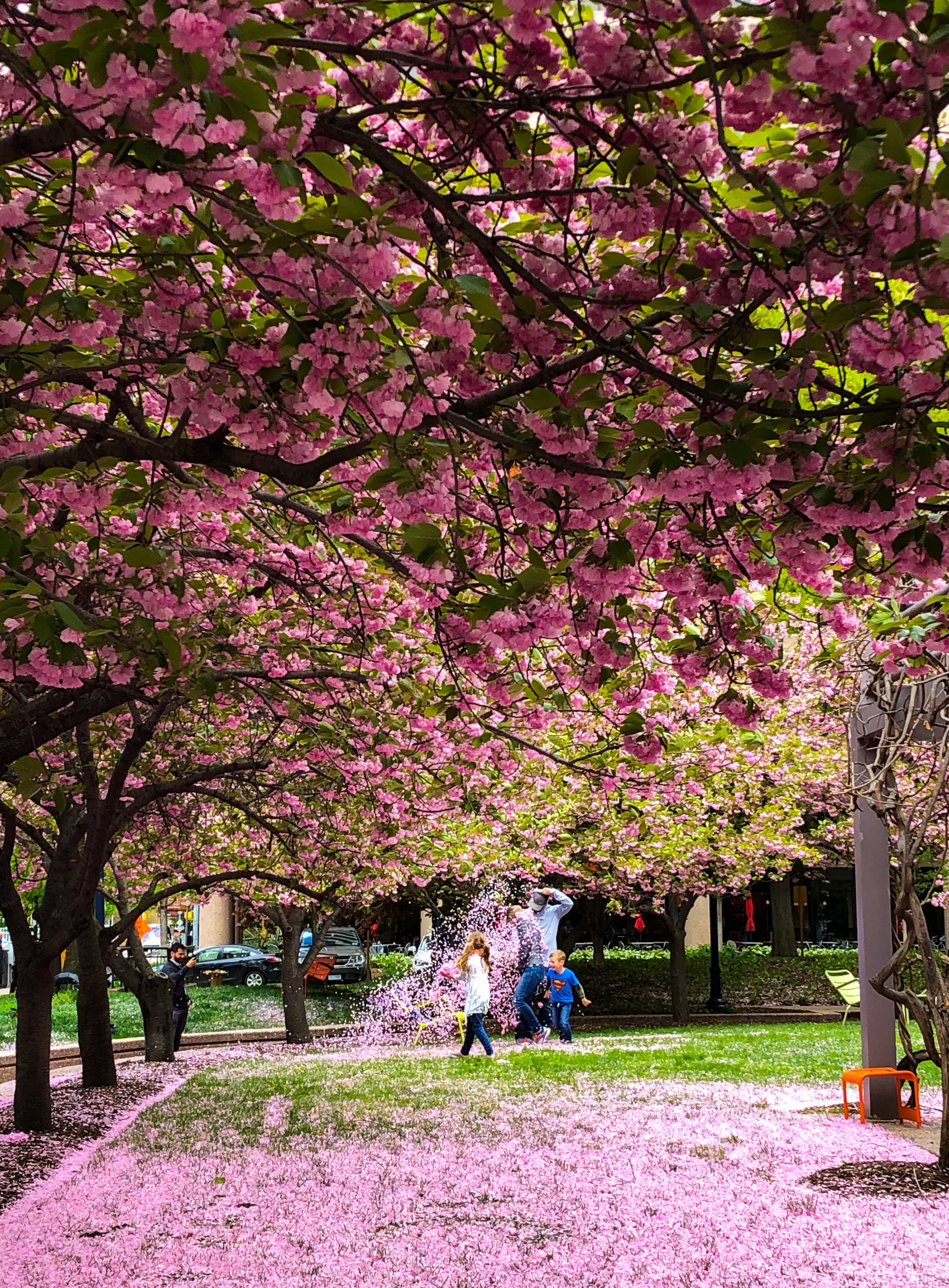 Arlington, VA-2019