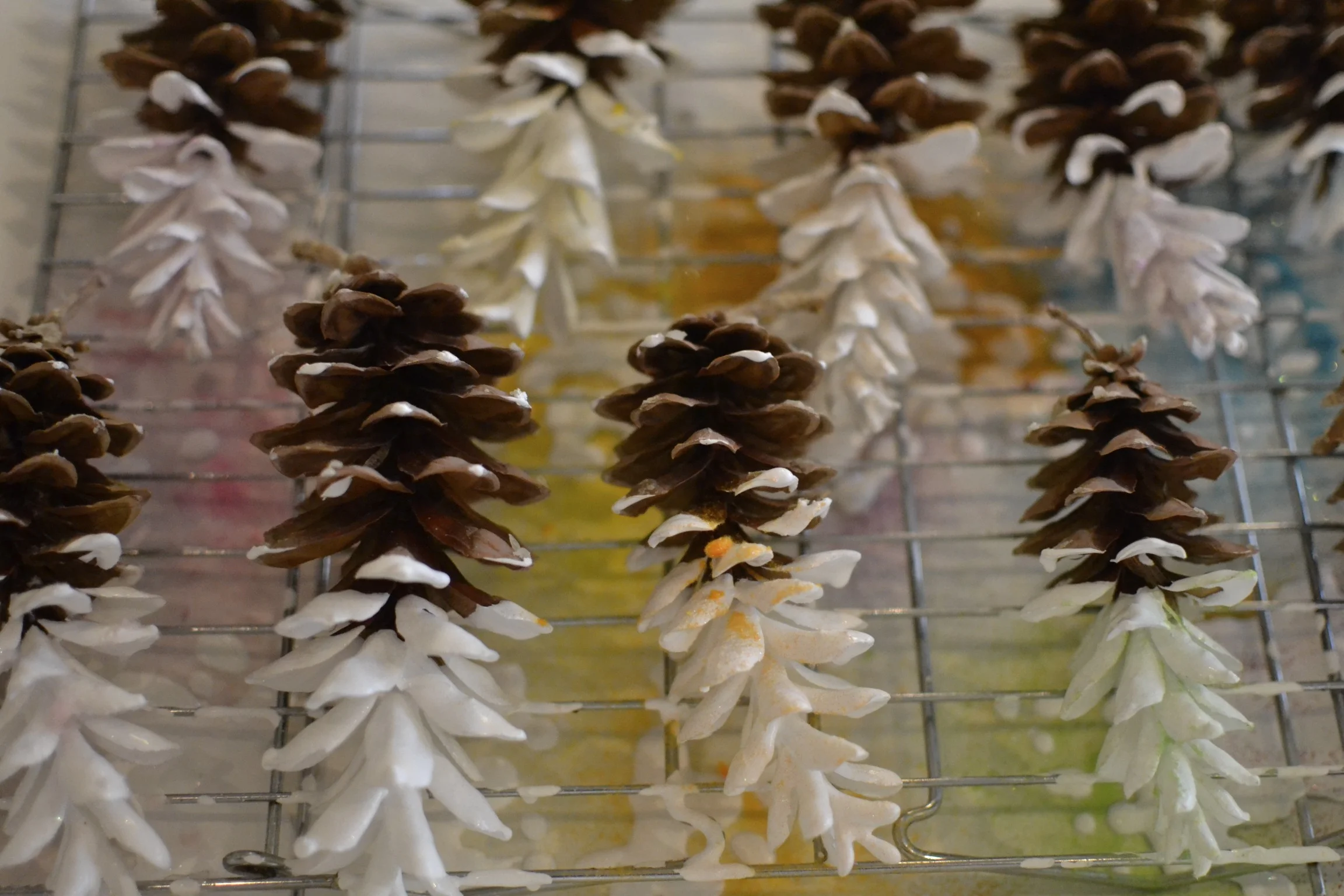 allow pine cones to dry over night before beginning the rest of the project. 