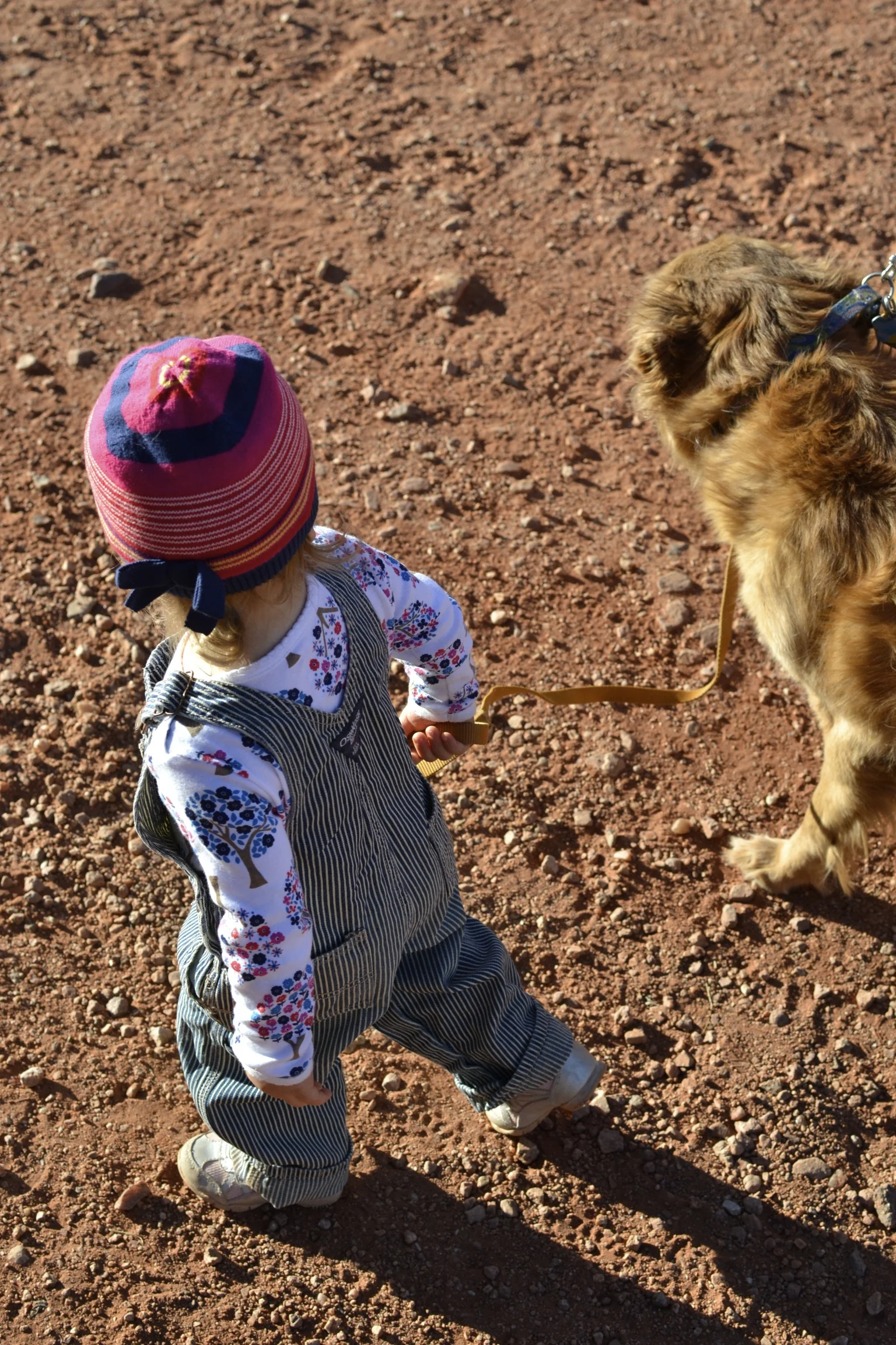 helping mamma walk riley