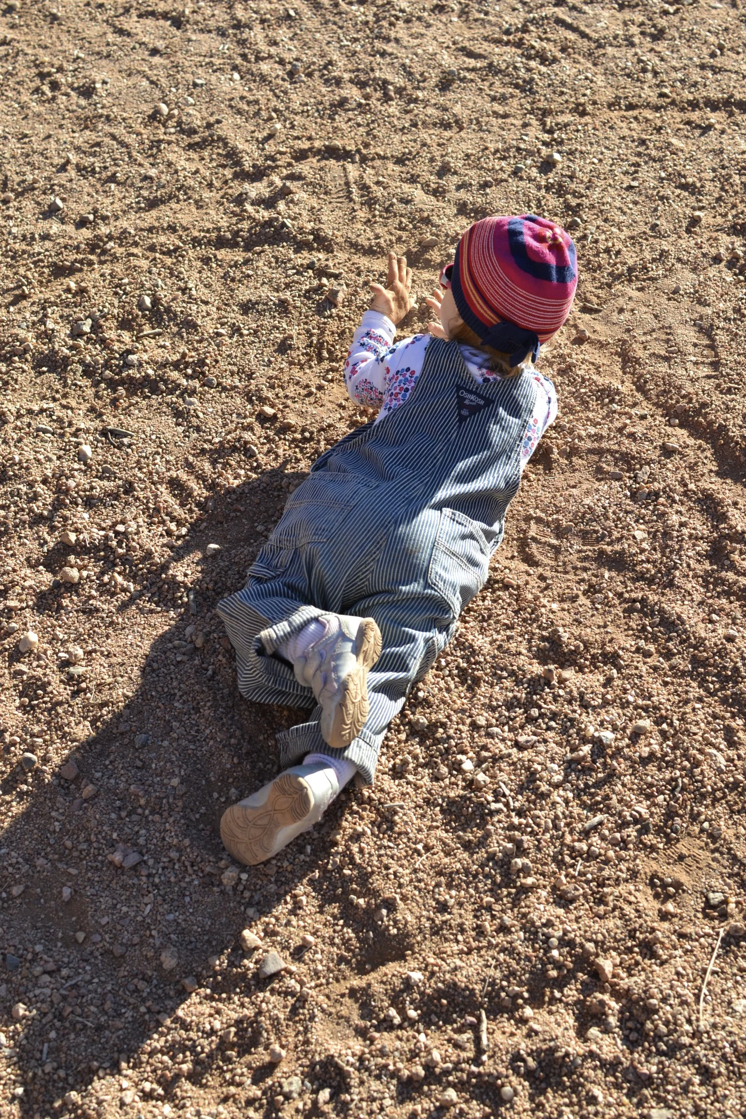a good hike is never complete without a roll in the dirt...or something like that. 