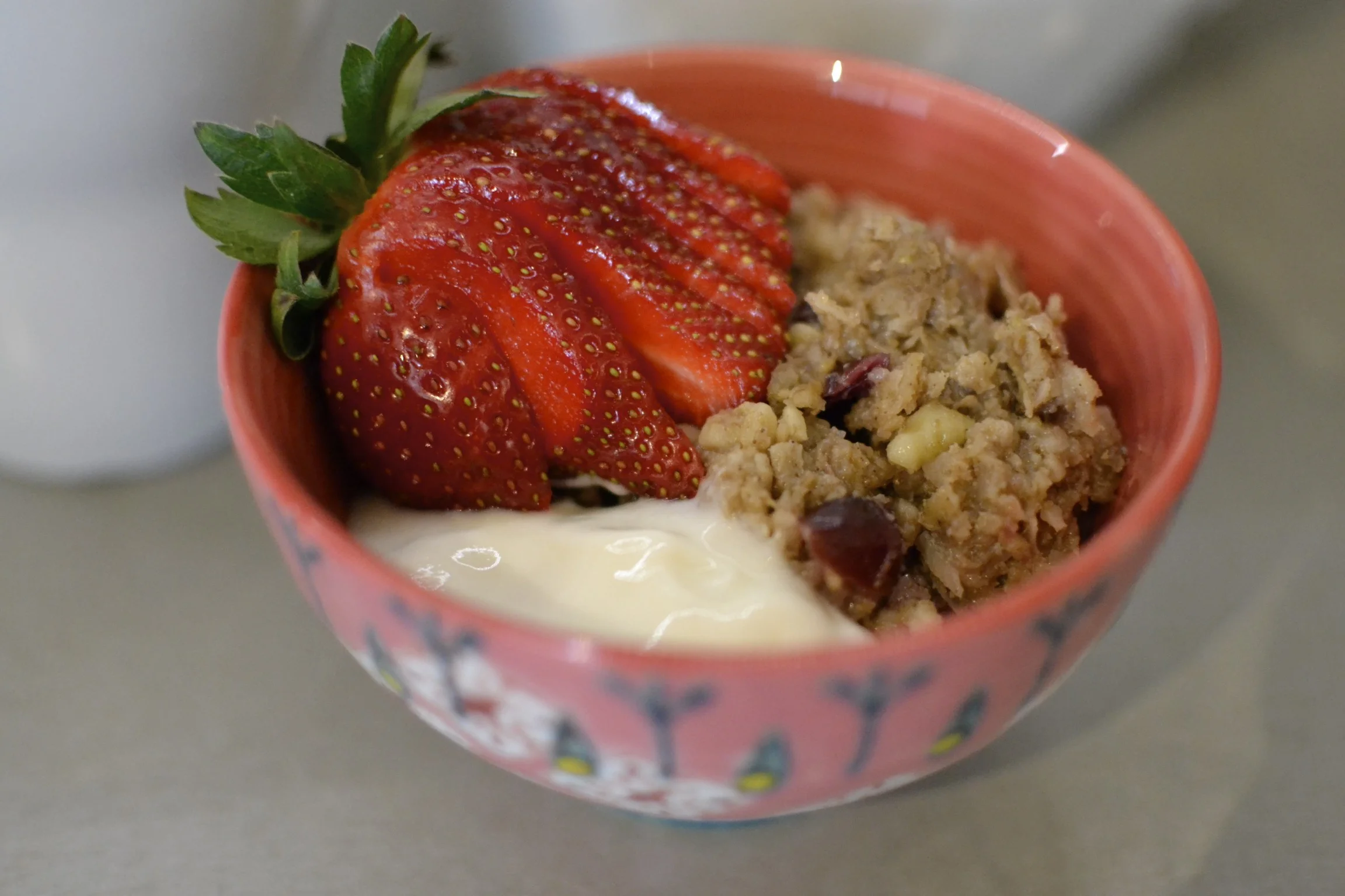 BIRD FOOD: crock pot baked oatmeal