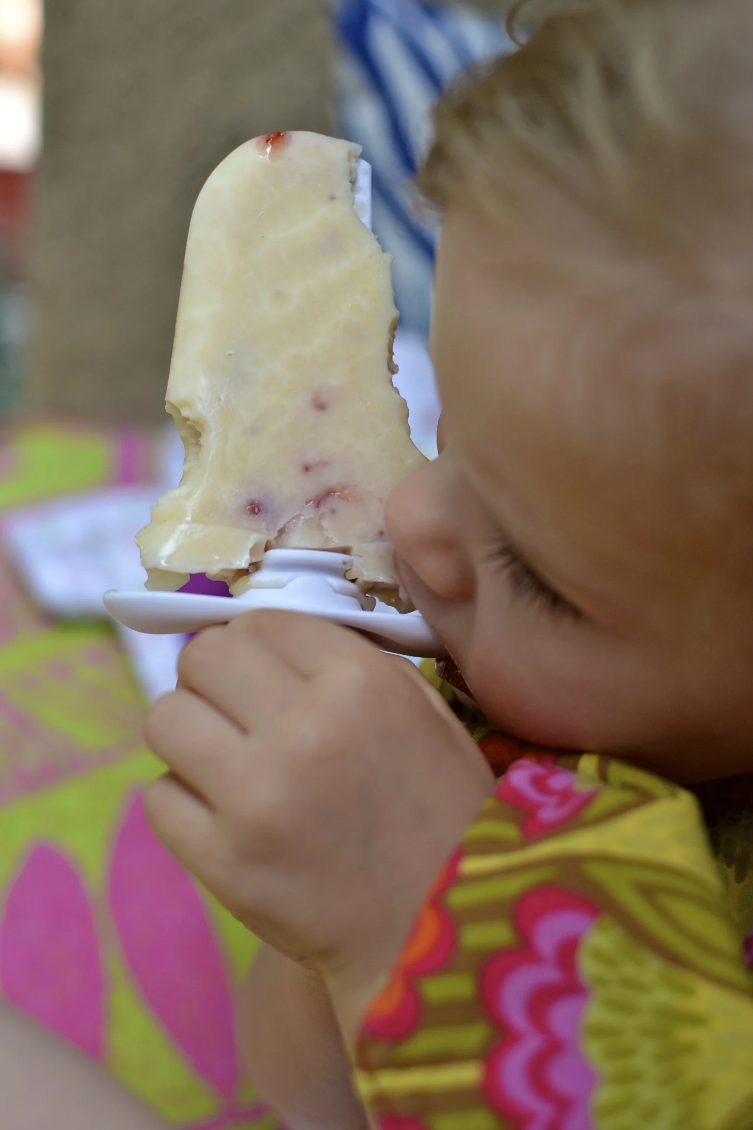 BIRD FOOD: pudding pops