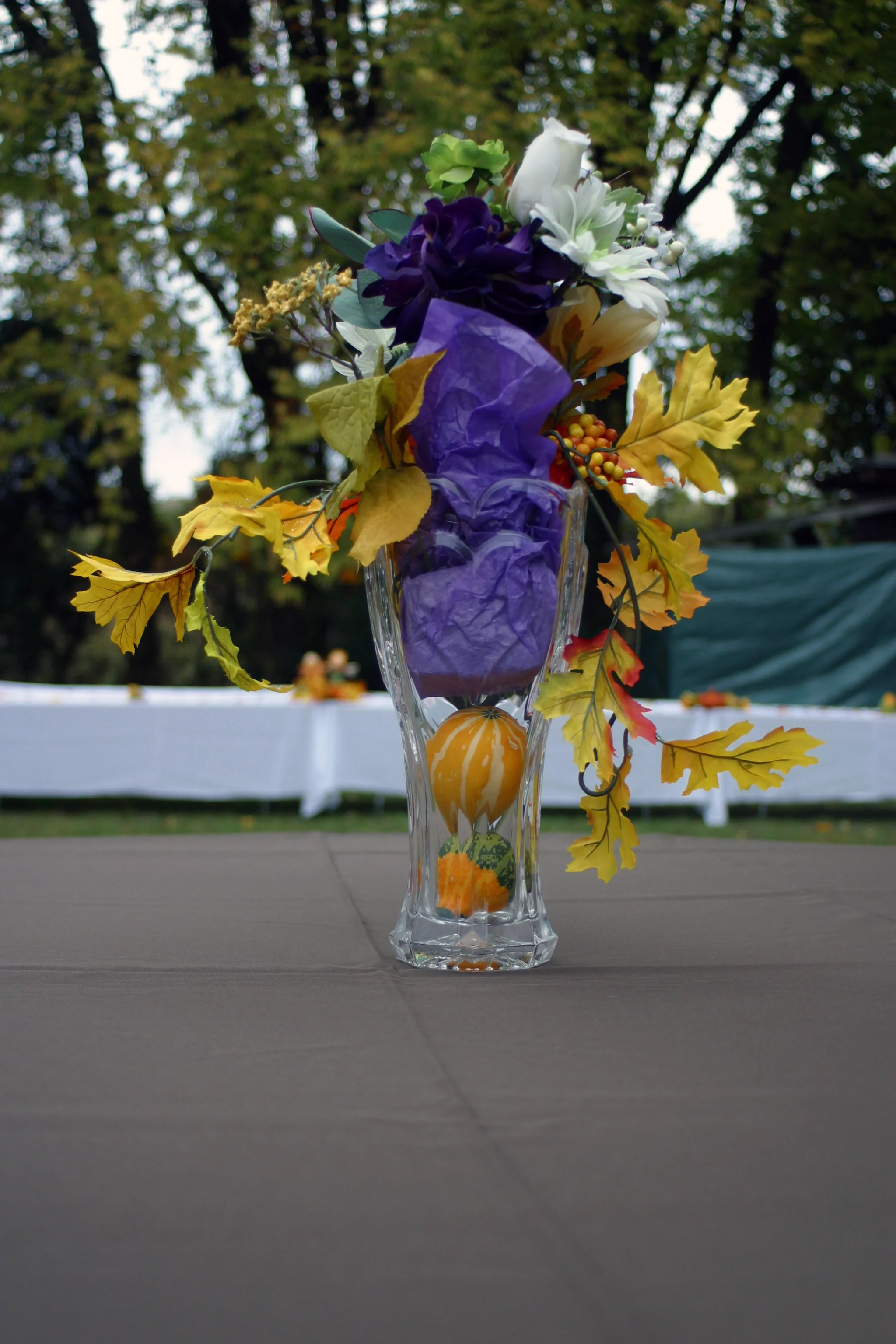 IMG_9742.jpg