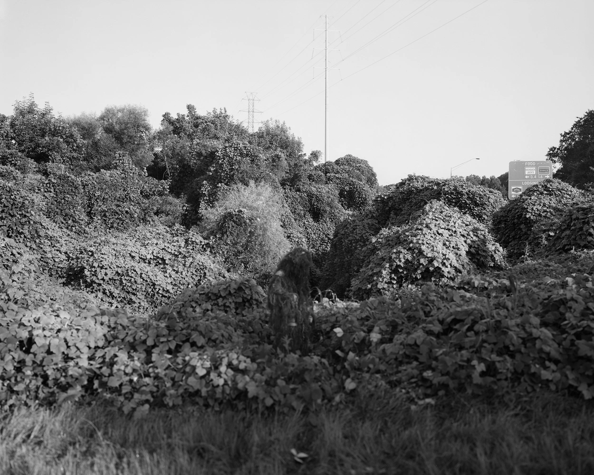 LewJarod-008.jpg
