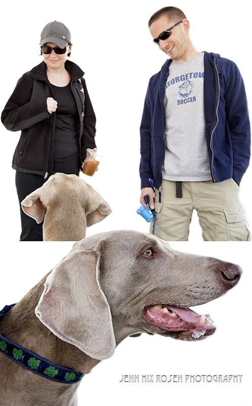 weimaraner combined2.jpg