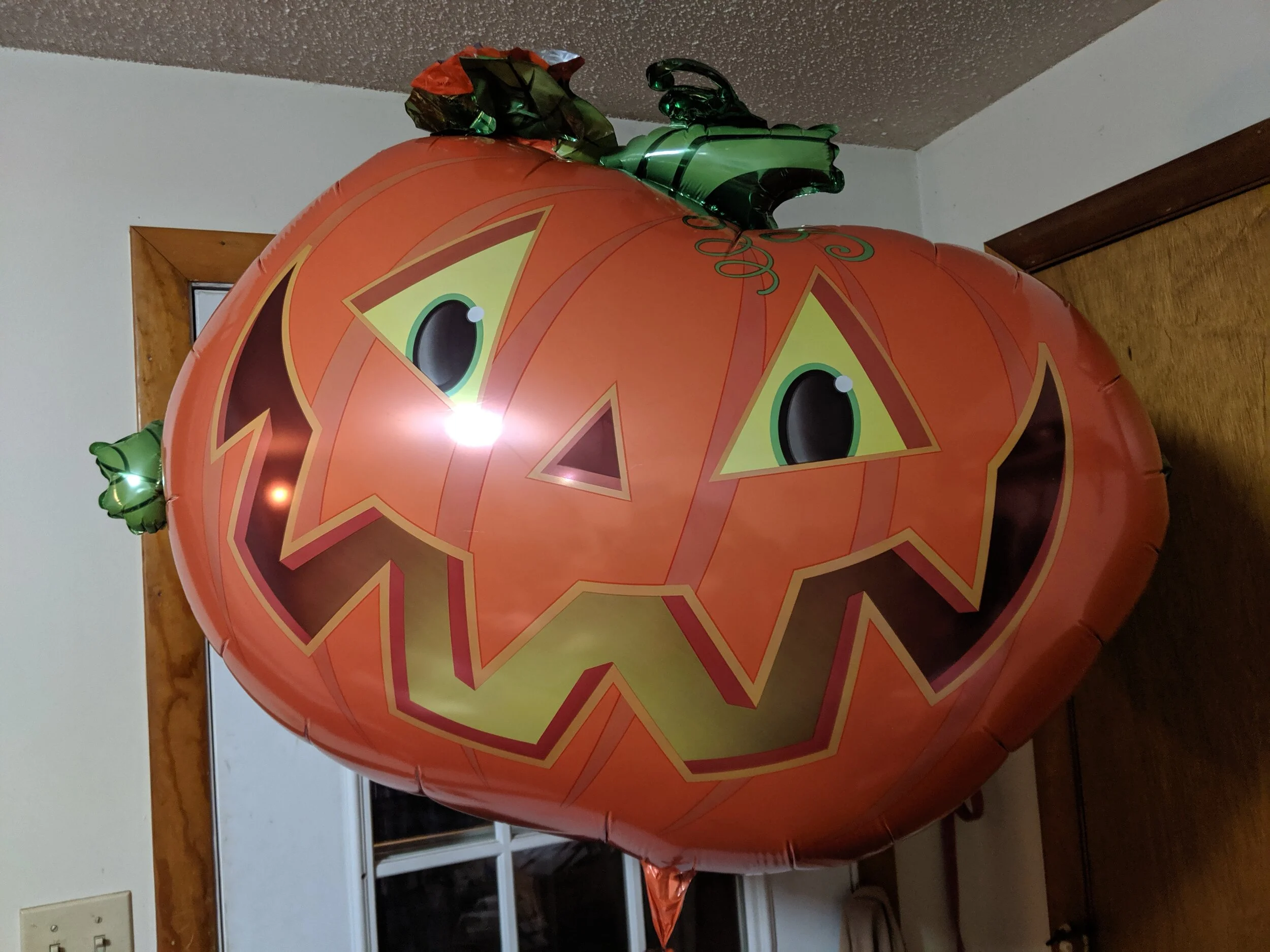 IMG_20191018_183735.jpg