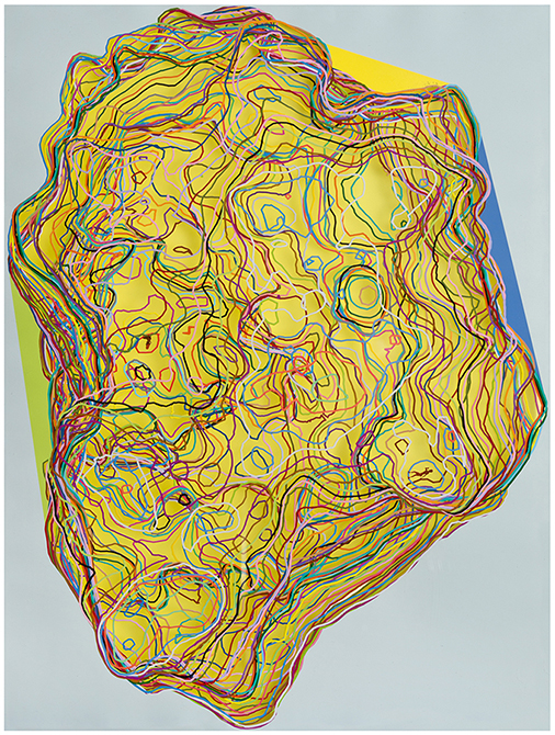 Coral Rock , 2015, laser cut digital drawing on acrylic, 24 x 18"