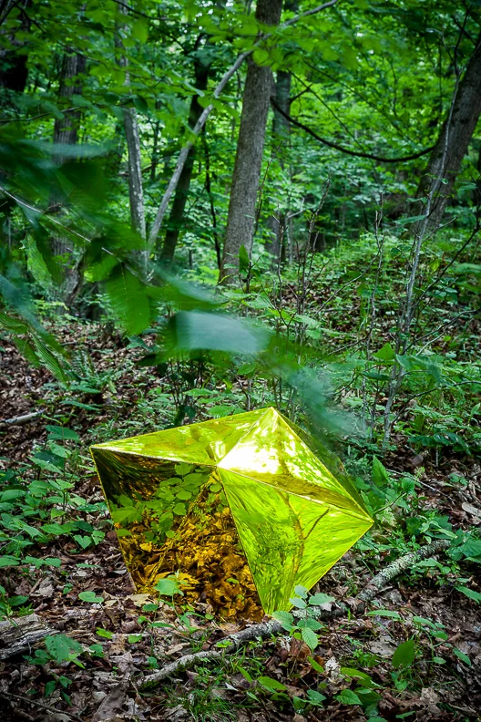 Invasive Species , 2015, acrylic CHHS Projects/EXCAVATE , Snyder Estate Century House Historical Society and Widow Jane Mine, Rosendale, NY, Laura Johansen, Curator photo: Eric Johnson