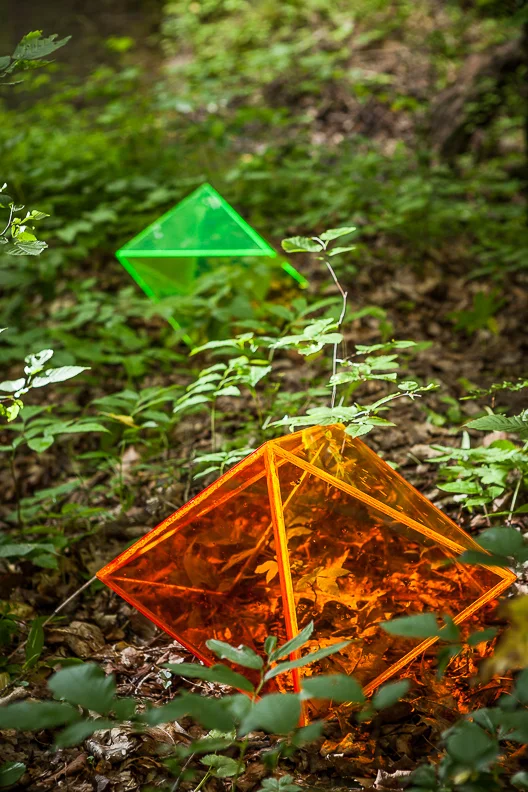 Invasive Species , 2015, acrylic CHHS Projects/EXCAVATE , Snyder Estate Century House Historical Society and Widow Jane Mine, Rosendale, NY, Laura Johansen, Curator photo: Eric Johnson