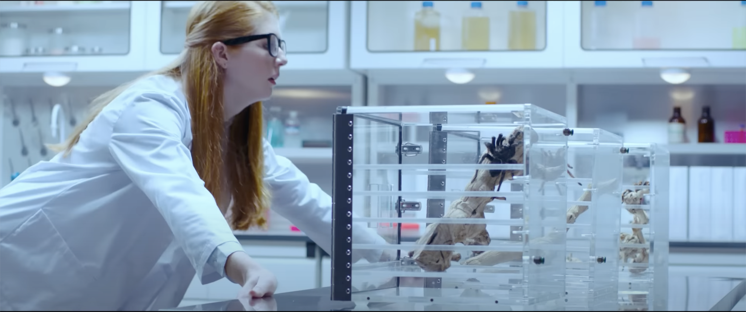 Screenshot 2023-06-09 at 1.07.15 PM.png