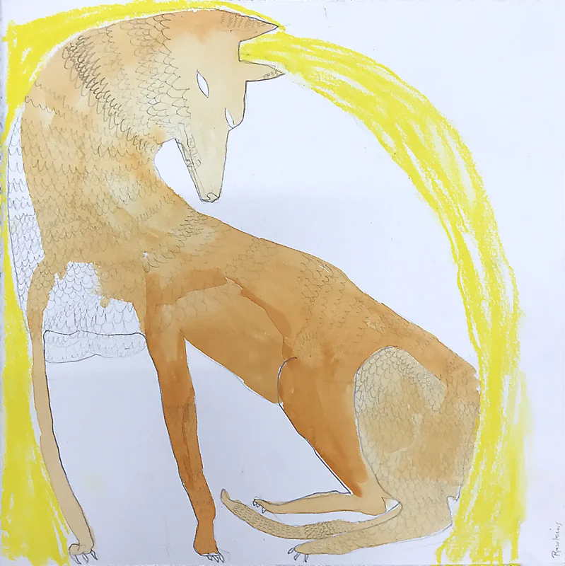 Dingo With Yellow 2017 Graphite, gouache and charcoal on paper 30 x 30cm