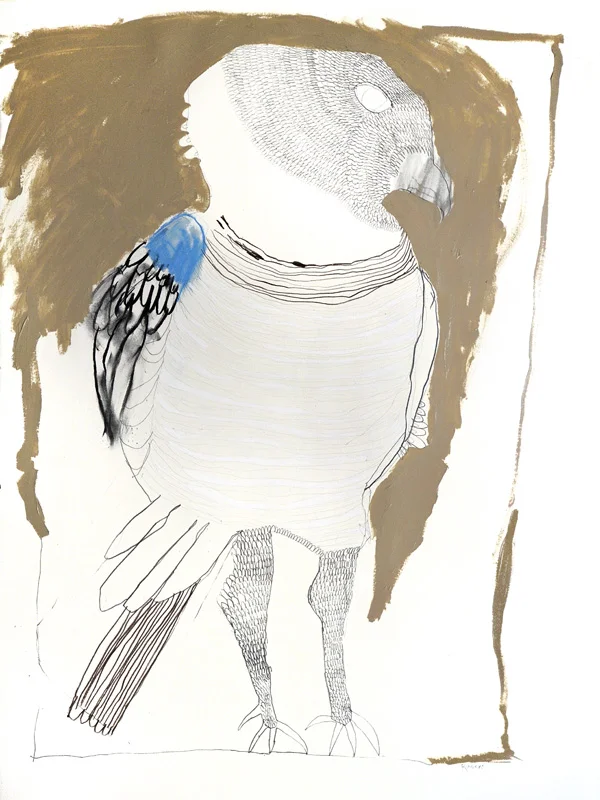 Goshawk, 2016, Graphite, gouache, charcoal on paper 76 x 56cm