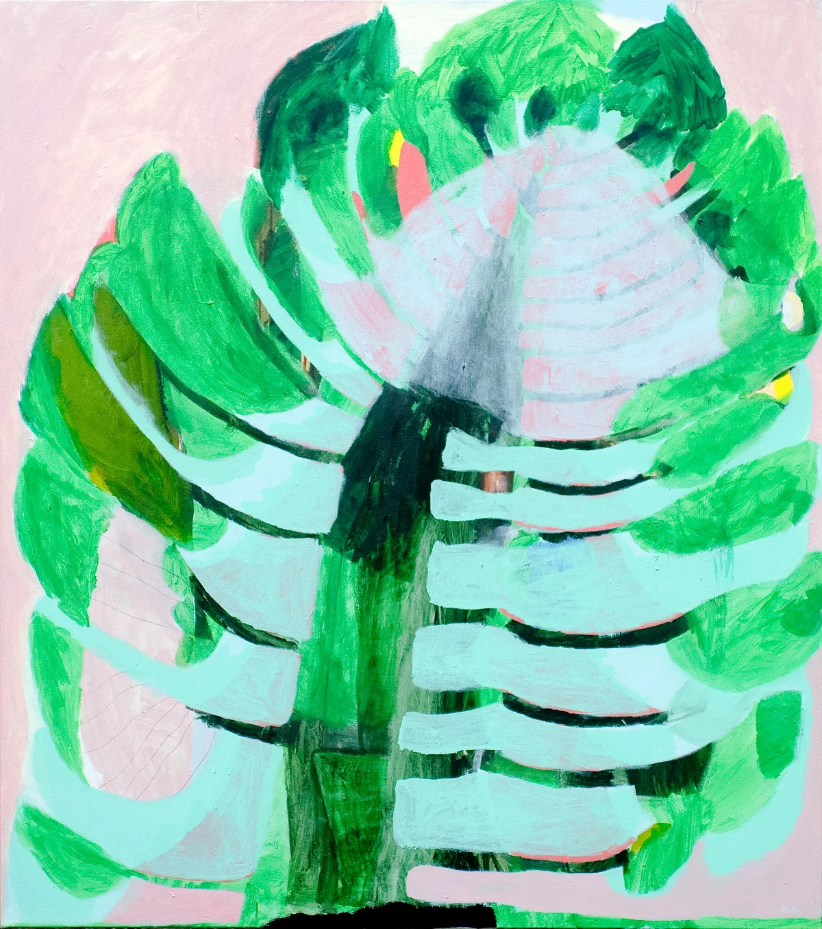 Pink Bunya 2019 Acrylic and charcoal on canvas 137 x 121cm