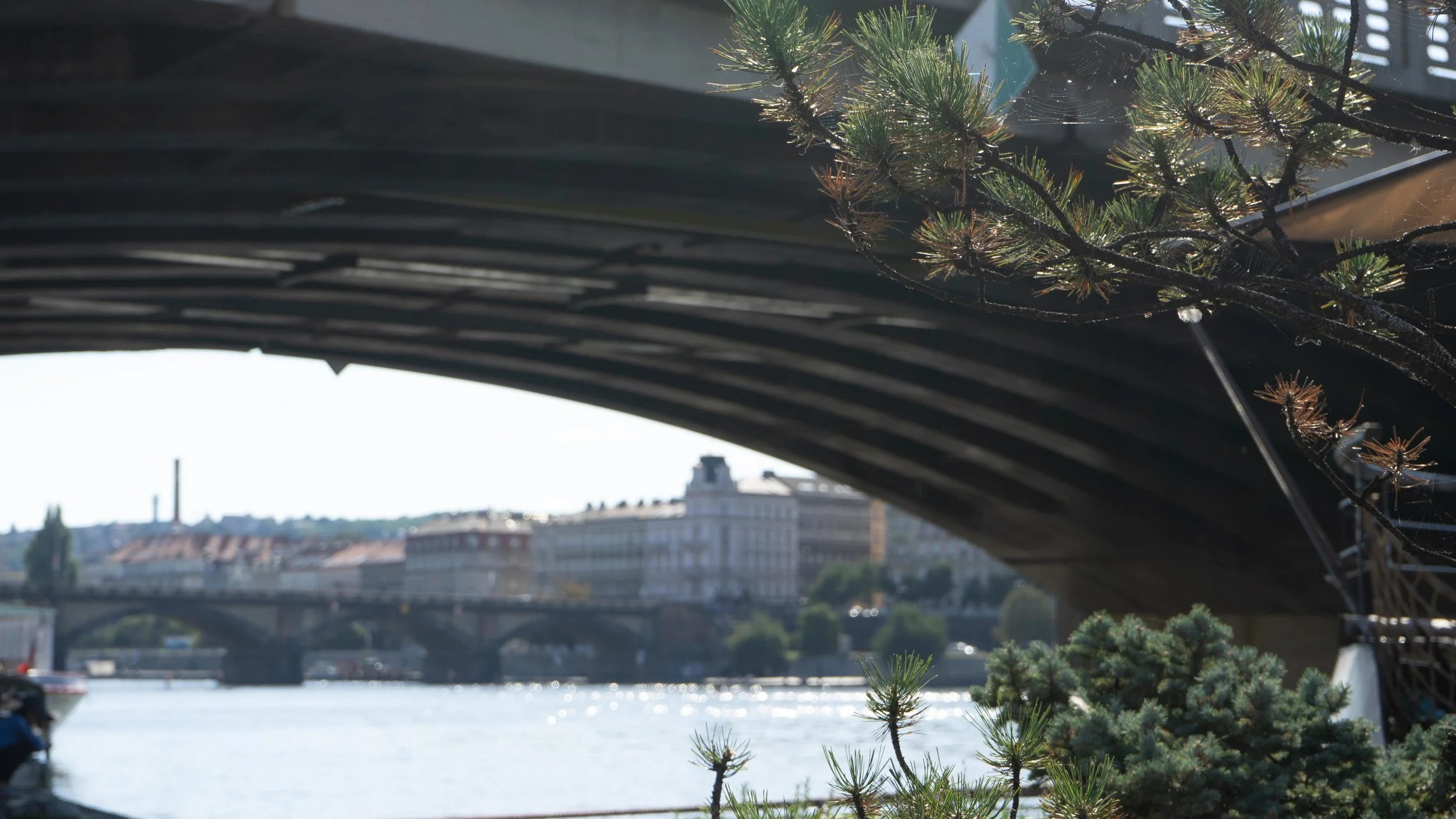 Czechx (8 of 15).jpg