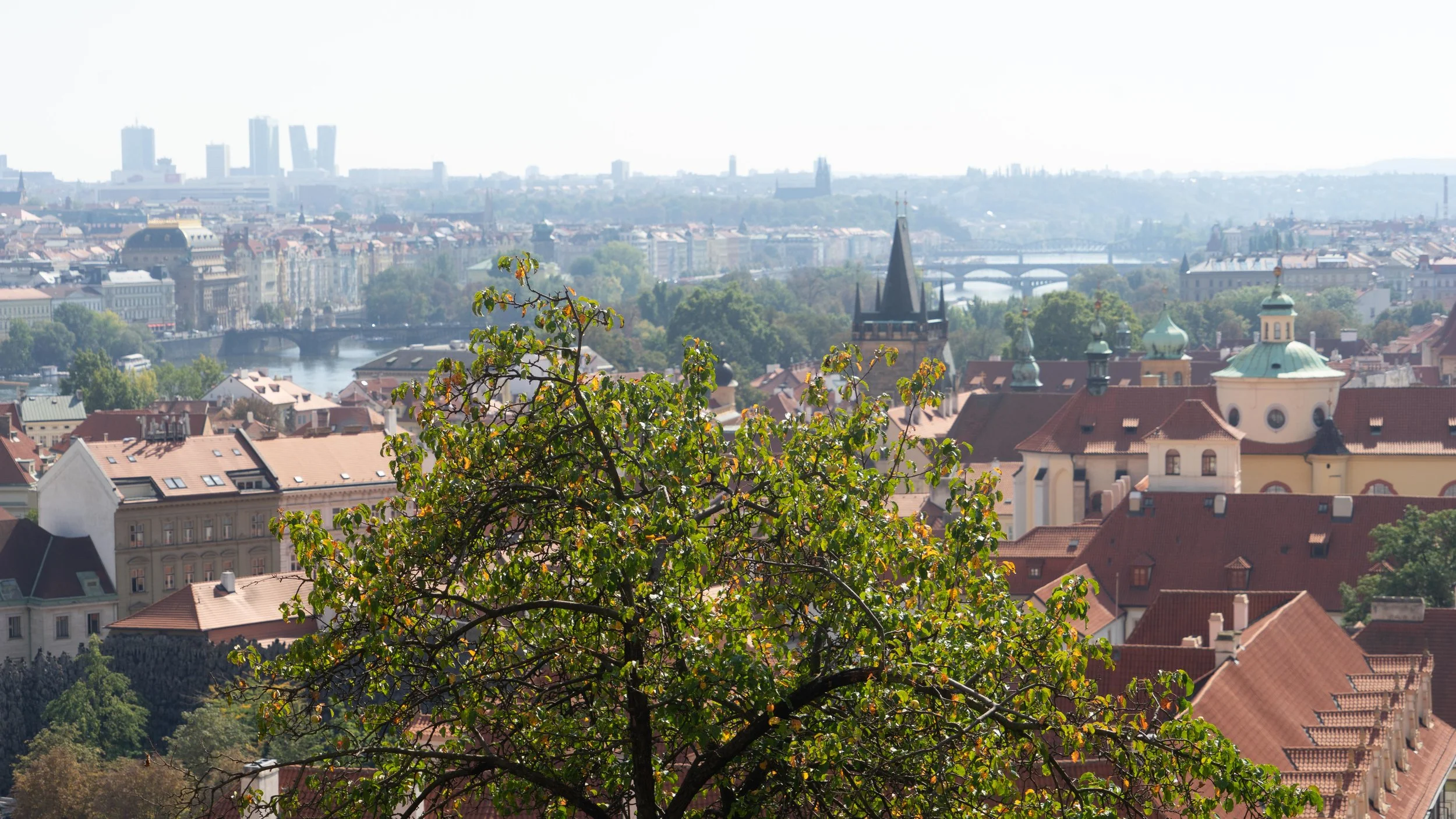 Czechx16 (61 of 172).jpg