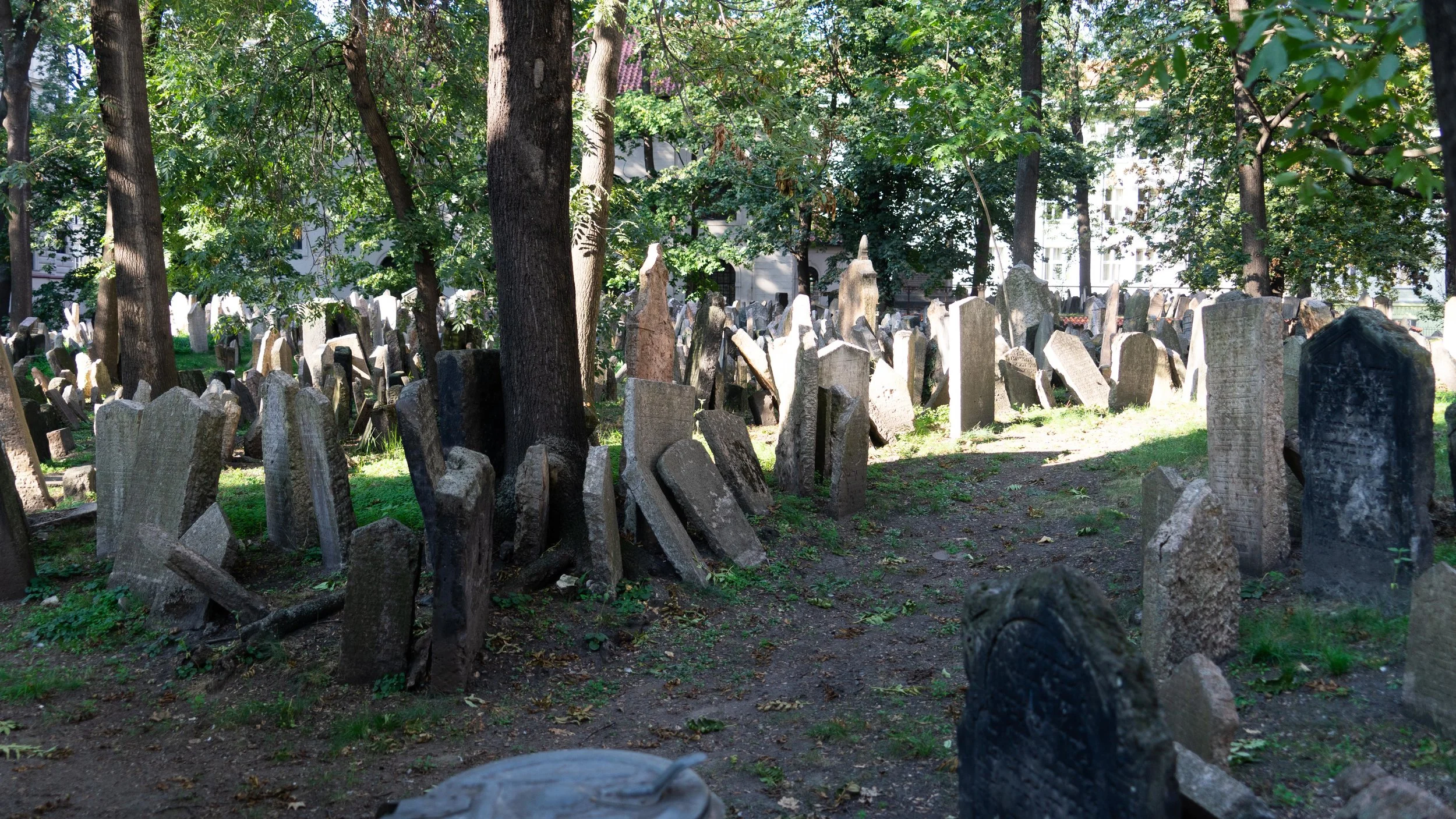 Czechx16 (73 of 172).jpg