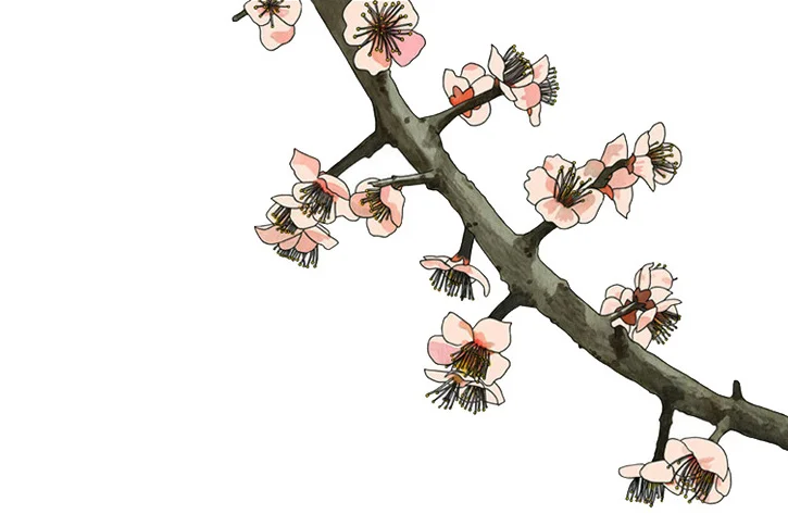ume no hana.jpg
