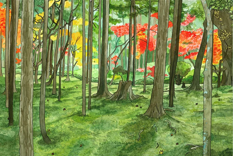 Kokedera.jpg