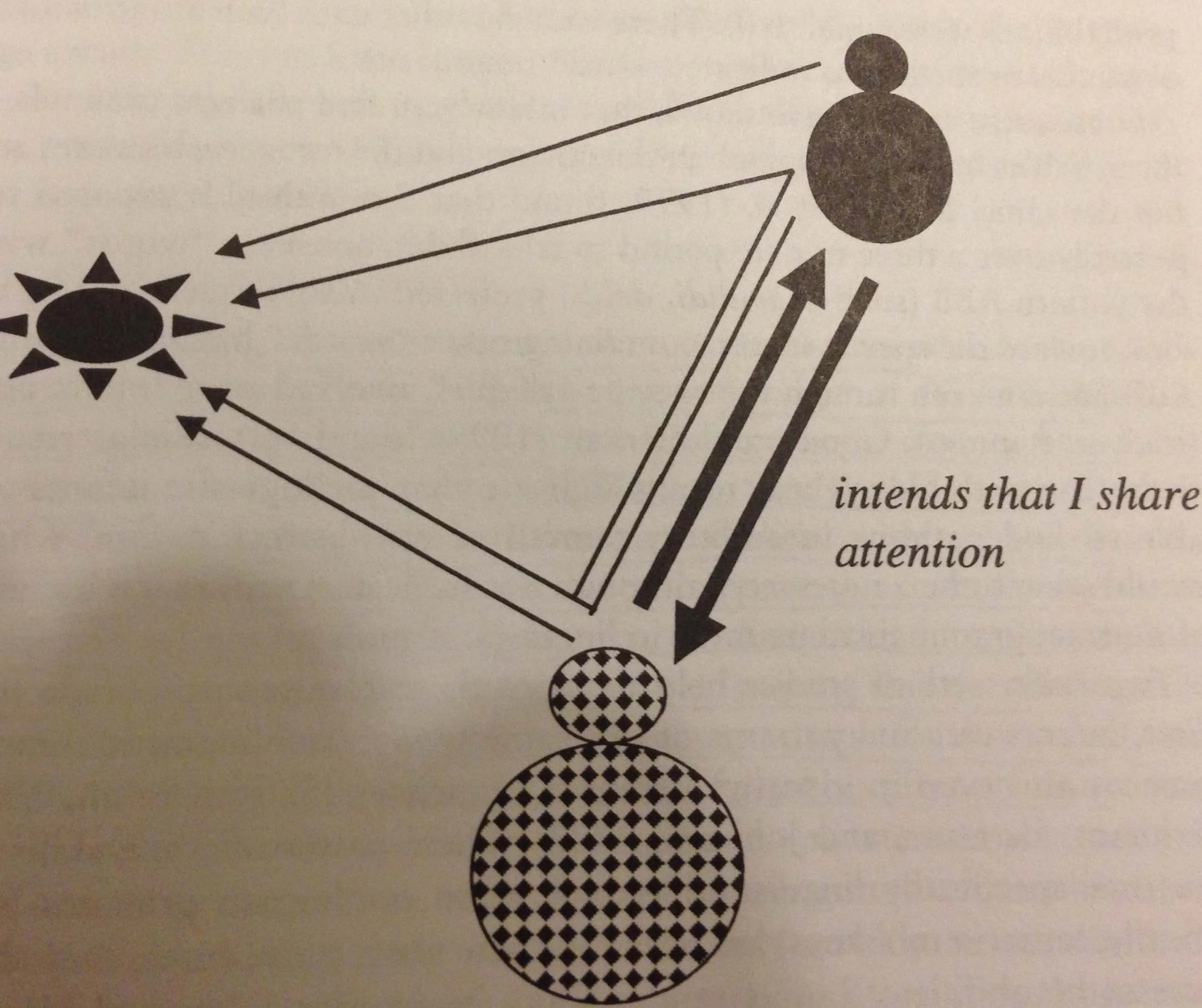 From Tomasello (2003) ... Structure of a linguistic symbol. Each person can use it to intend (thick lines) that the partner follow her attention (thin lines) to some external entity, that is, to share attention to it.