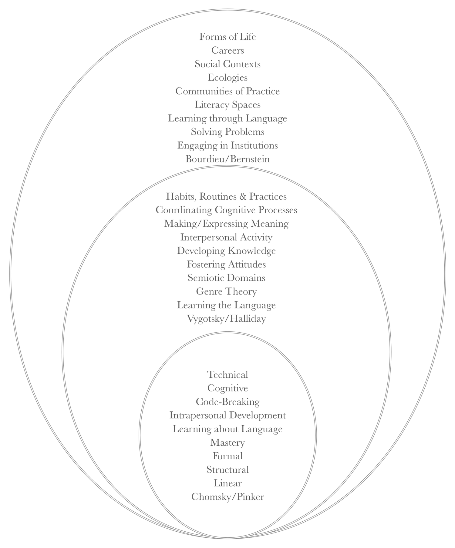 Summary Questions — The Literacy Bug