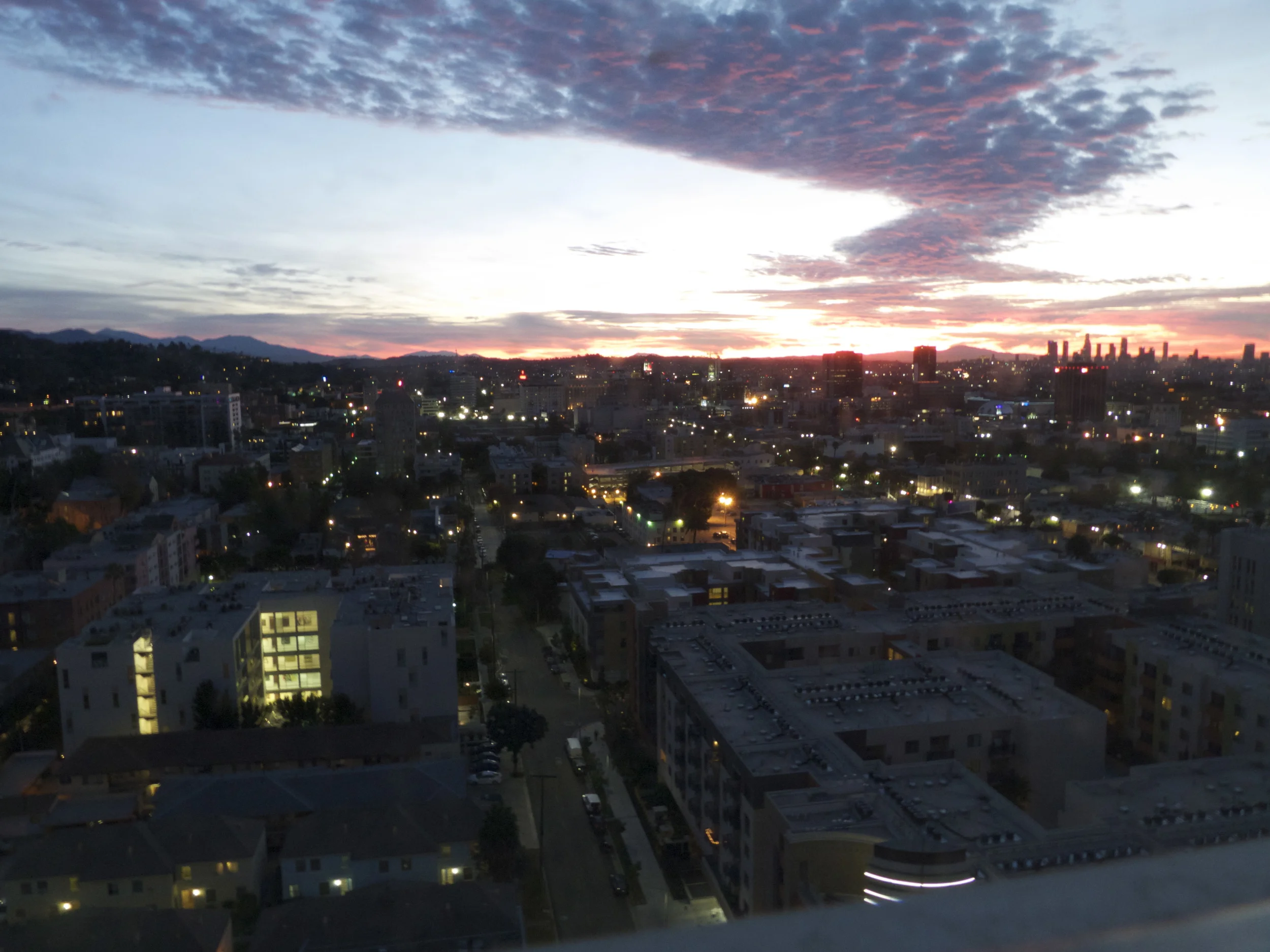 P1090201.jpg