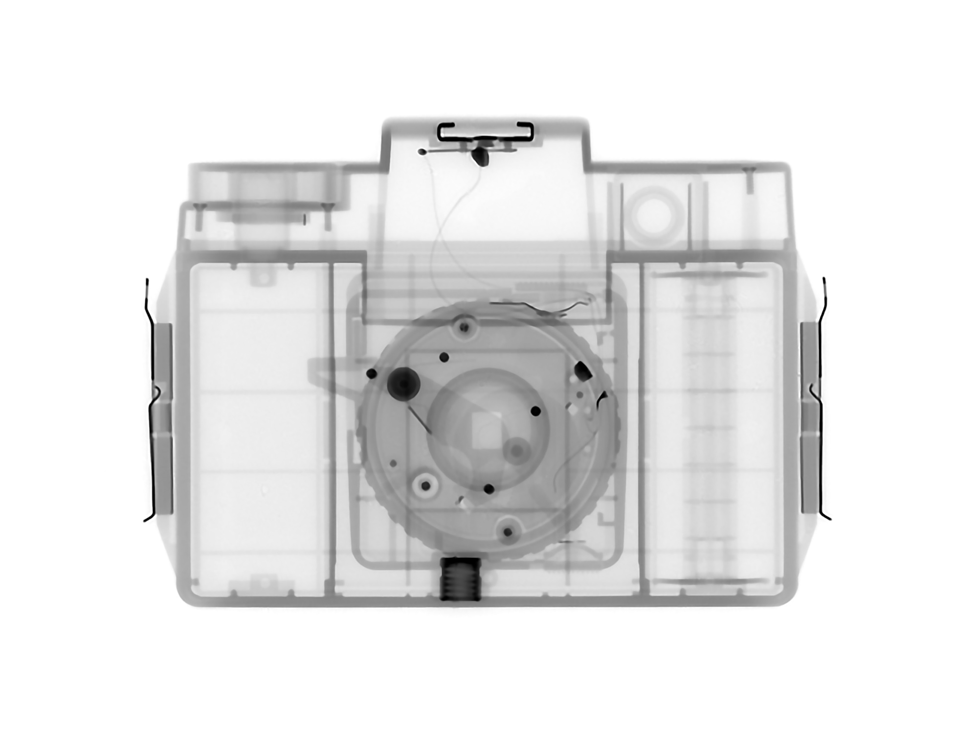 Holga