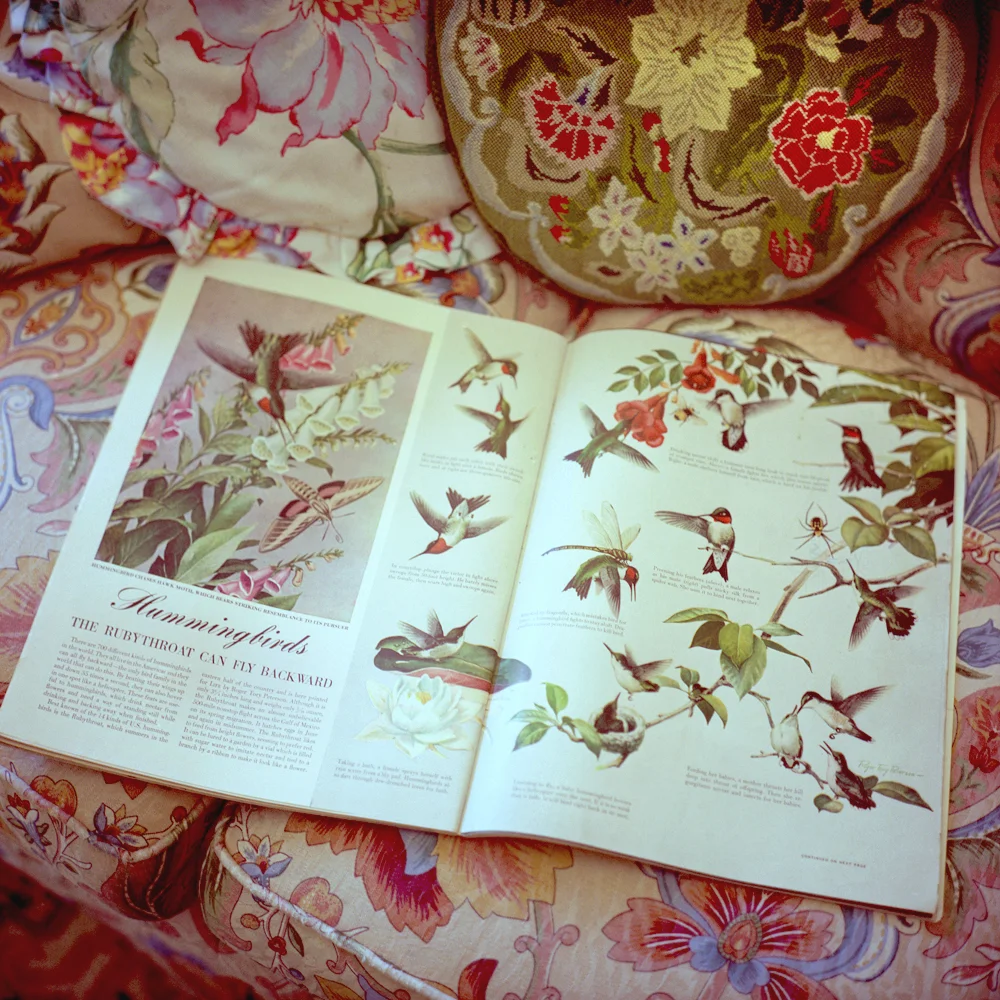 Aline Smithson