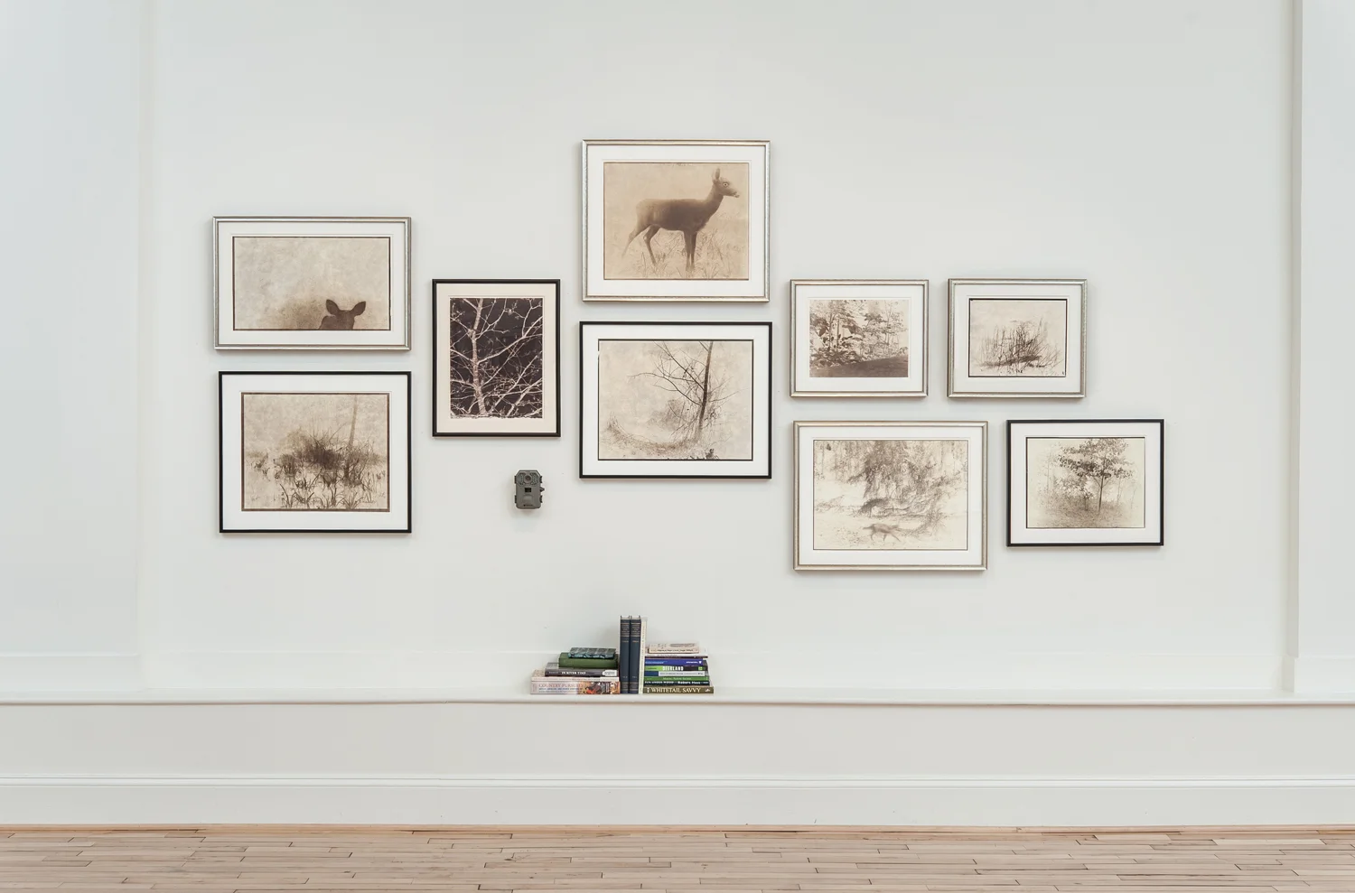 Salomon_Animal Land installation view 2.jpg