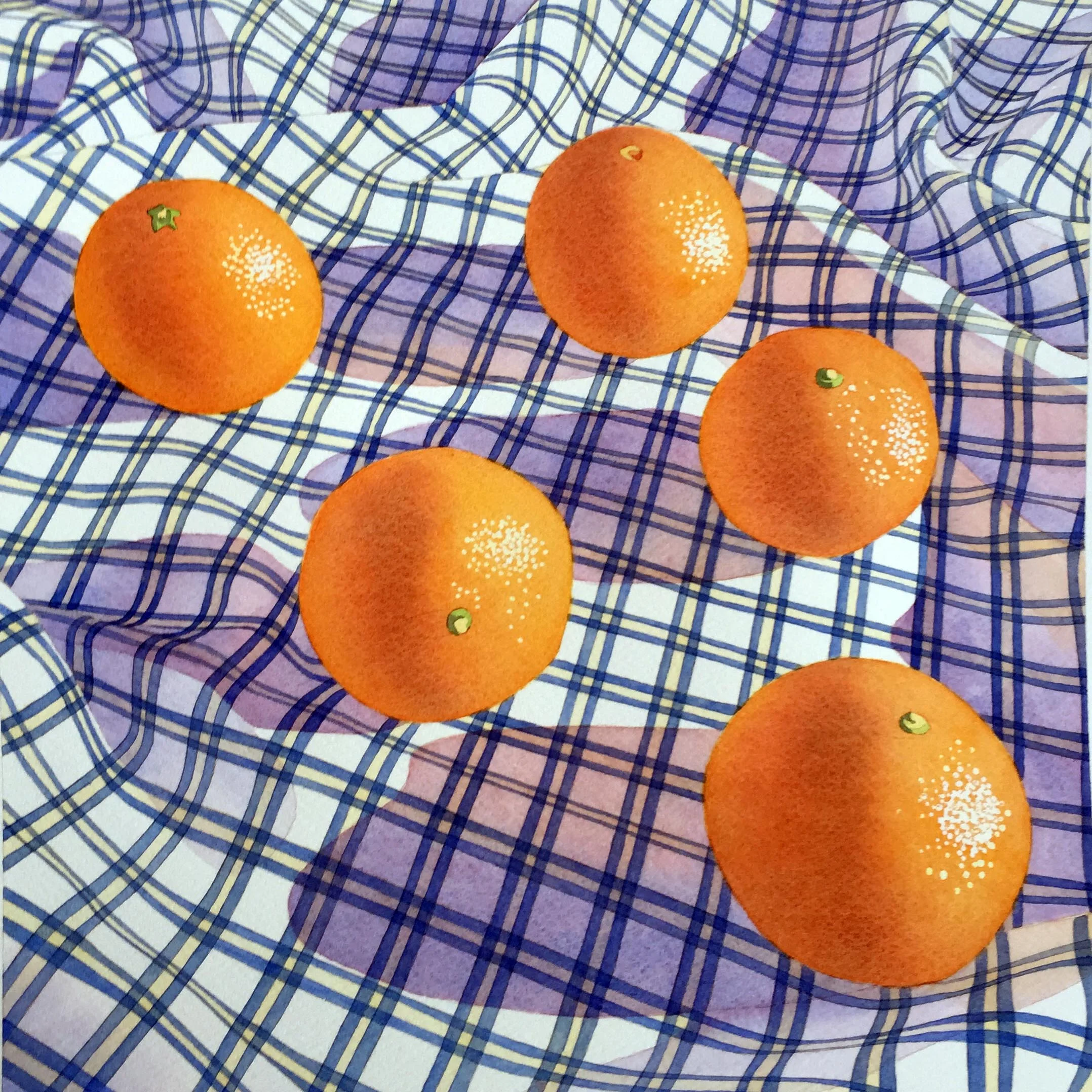 Clementines' Last Stand, 12"x12"