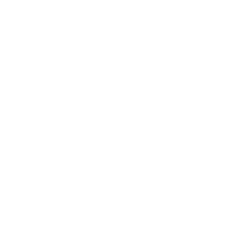iconsdrone100.png