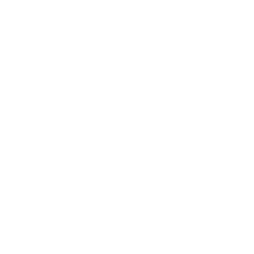 iconsnetwork100.png