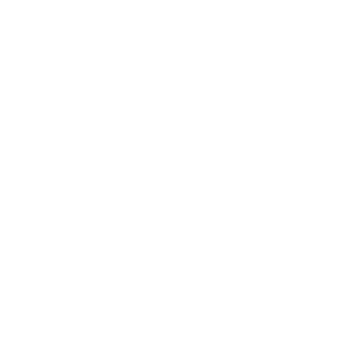 iconslifetime100.png